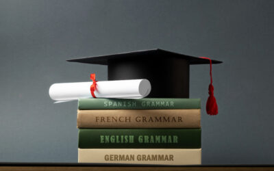 Grammar Checker vs. Professional Editor